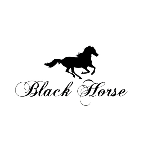 Black Horse Thumbnail