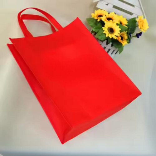 Regular Eco Bag Thumbnail