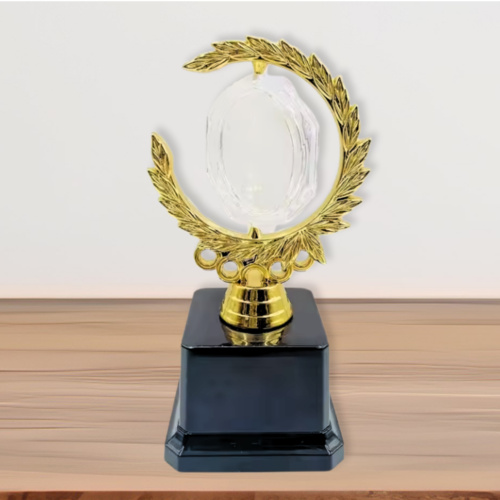 Trophy w/ Acrylic Glass Thumbnail