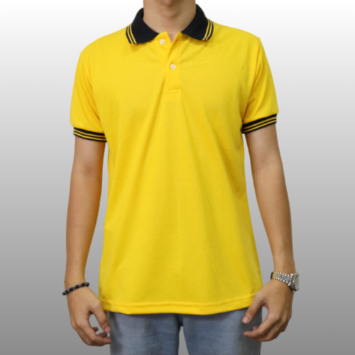 Polo Stripe Pique-2 Thumbnail